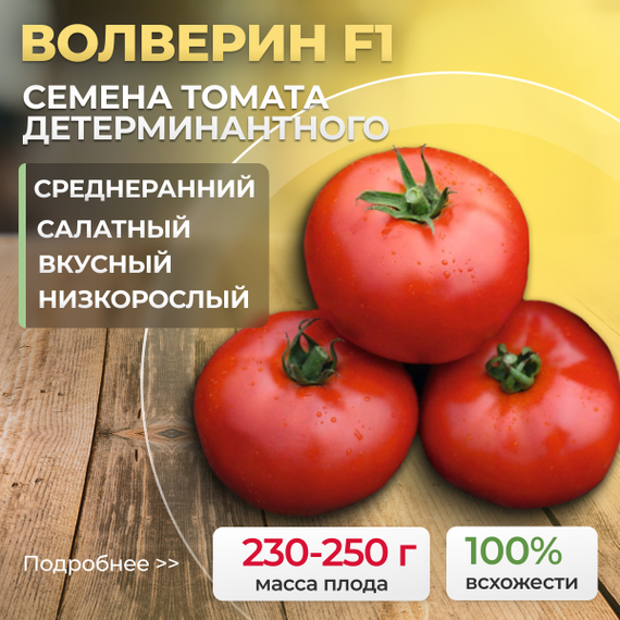 ВОЛВЕРИН F1 семена томата Syngenta купить – фото 1