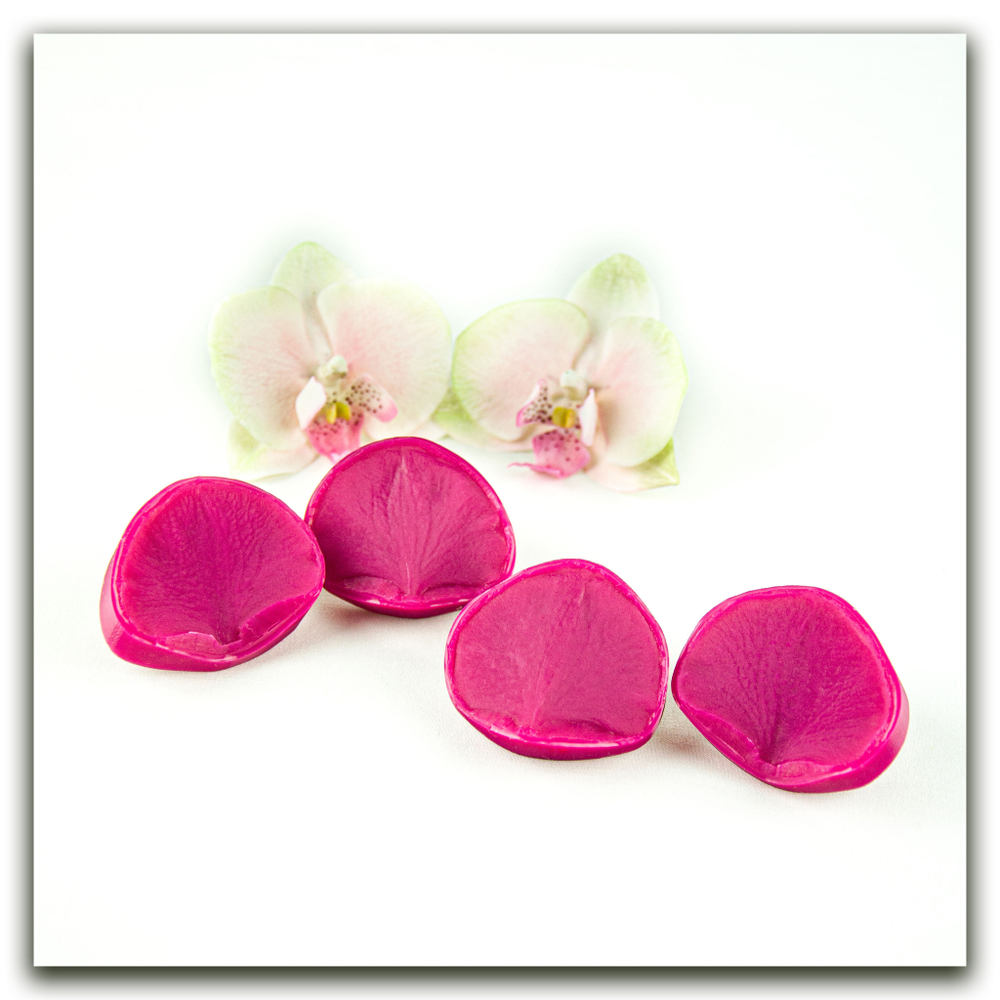 Орхидея фаленопсис M (+боковые лепестки размера S)