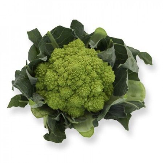 Пунтоверде F1 семена капусты цветной (Rijk Zwaan / Райк Цваан) плод – фото 5