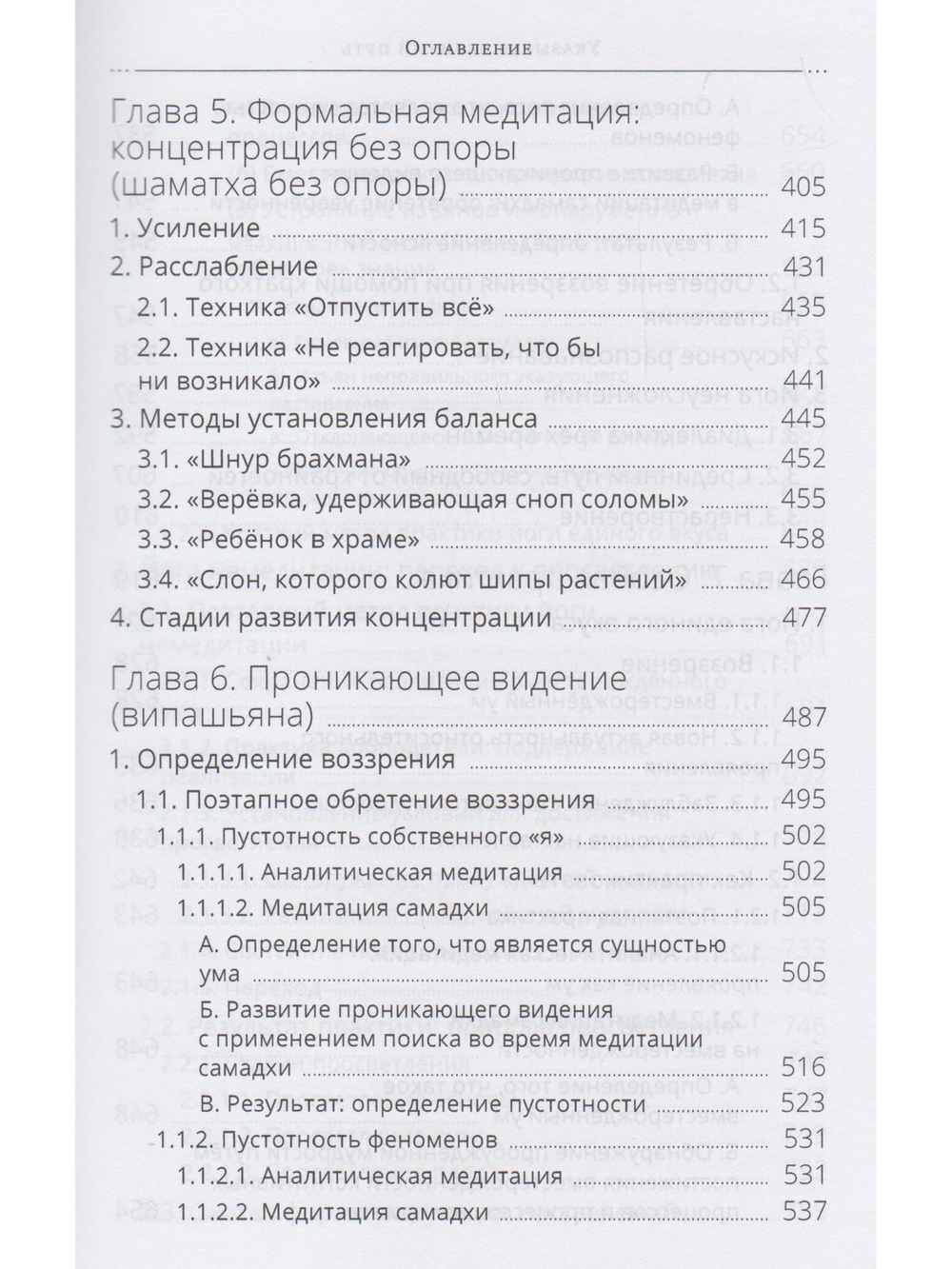 Указывая великий путь. Махамудра: этапы медитации