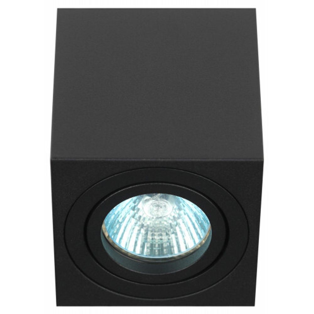 Светильник настенно-потолочный спот ЭРА OL22 BK MR16/GU10, черный, поворотный