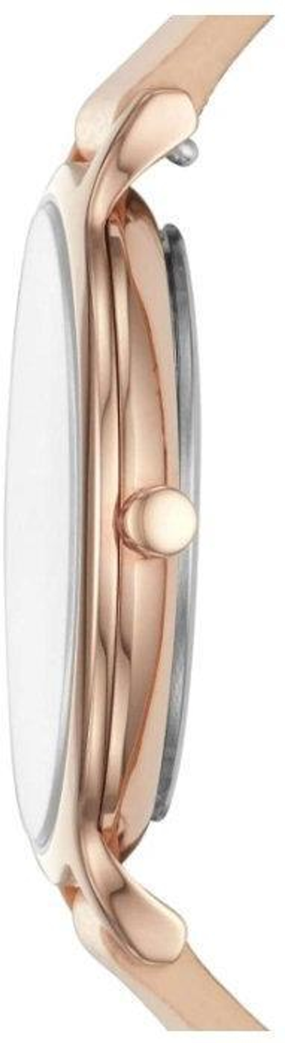 Женские наручные часы Skagen SKW2704