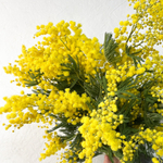 🌸☀️ охапка Весенний водоворот — душистая пушистая мимоза — 5 веток — 8 марта у Феи