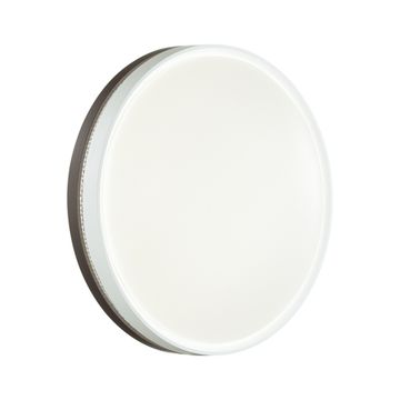 Настенно-потолочный светильник 48W 3000-6000K 7668/DLN белый/коричневый COLOR NOHAVA BROWN Sonex