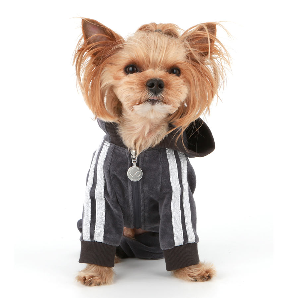 272 Спортивный костюм "Pirate"