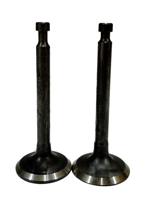 Клапаны (пара) G160-200F,LC168F-2H,LC170F-2/500550024-0001