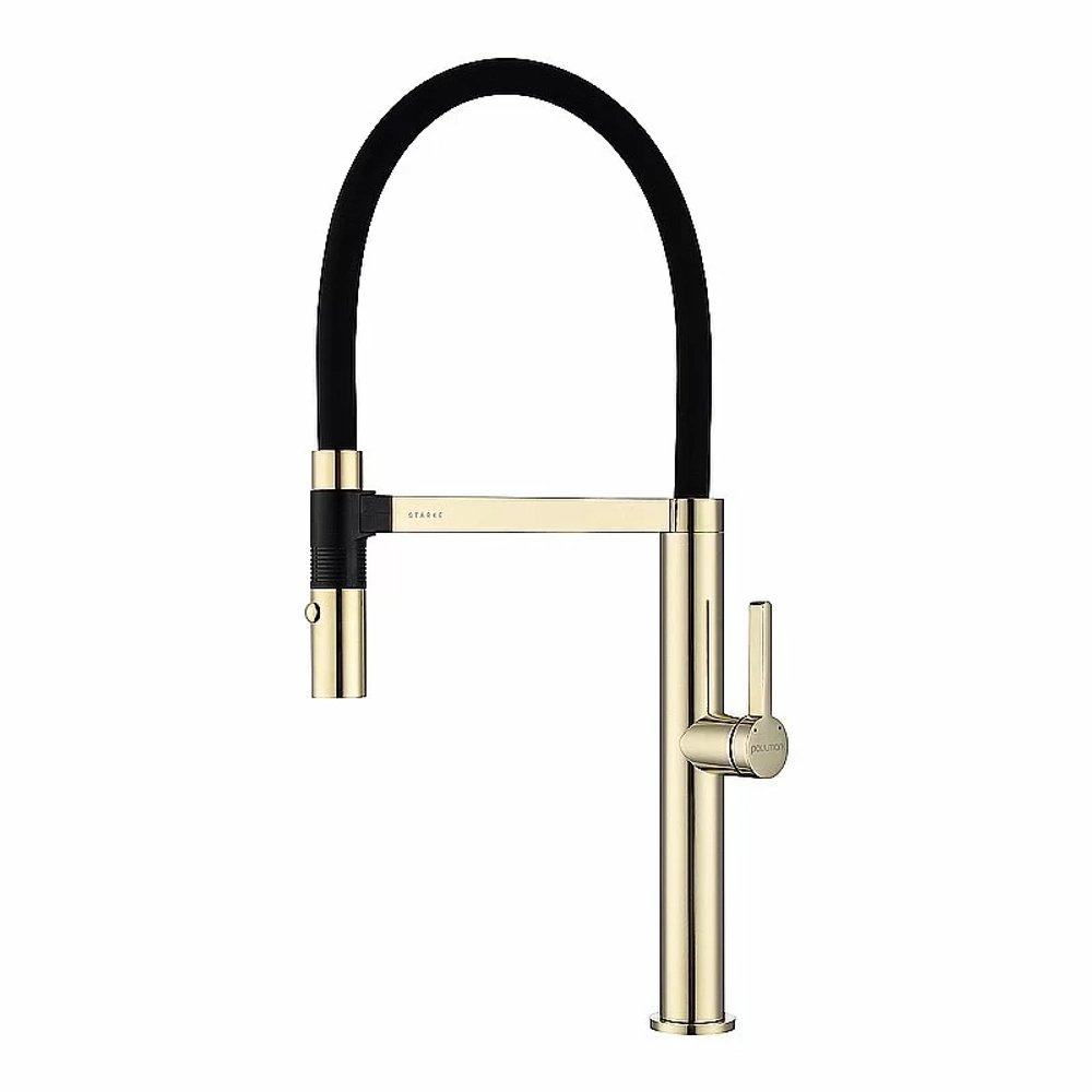 Смеситель для кухни Paulmark Leader Le214101-G золото