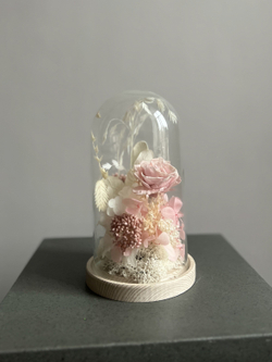 Клош Озотамнус