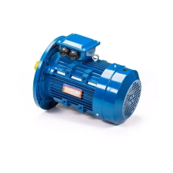 Электродвигатель 5АИ 100 L4 4/1500 IM3081