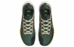 Кроссовки Nike Pegasus Trail 4 Gore-Tex