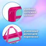 Папка на молнии с ручками BRAUBERG А4 1 отделение пластик 80 мм "Anime city" (3 штуки в упаковке)