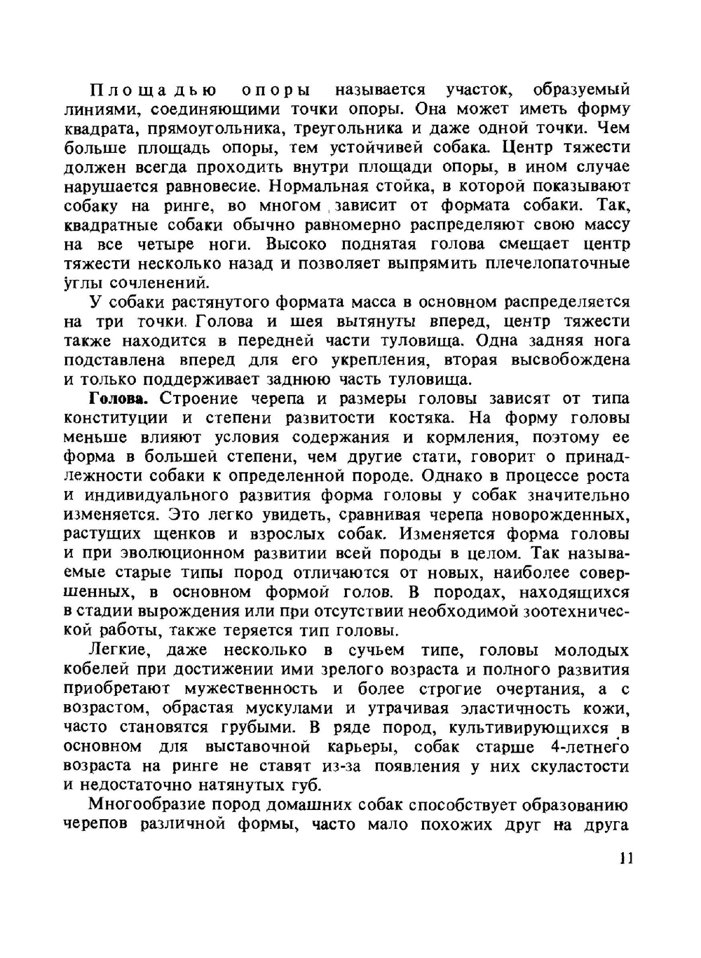 Охотничьи собаки | А.П. Мазовер