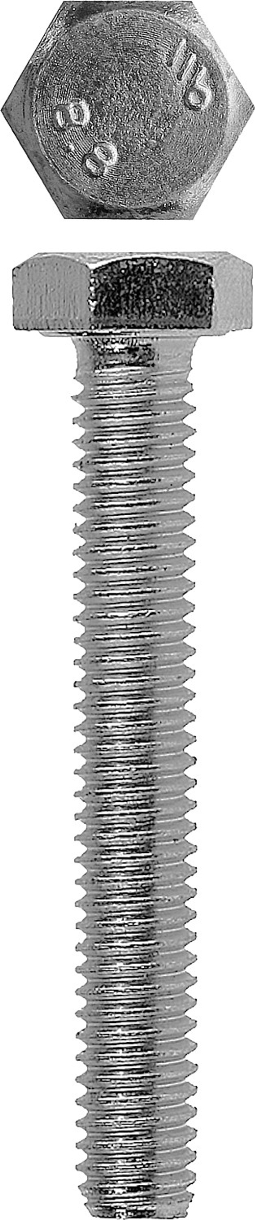 ЗУБР DIN 933, кл. пр. 5.8, M12 х 45 мм, цинк, 3 шт, болт (4-303076-12-045)