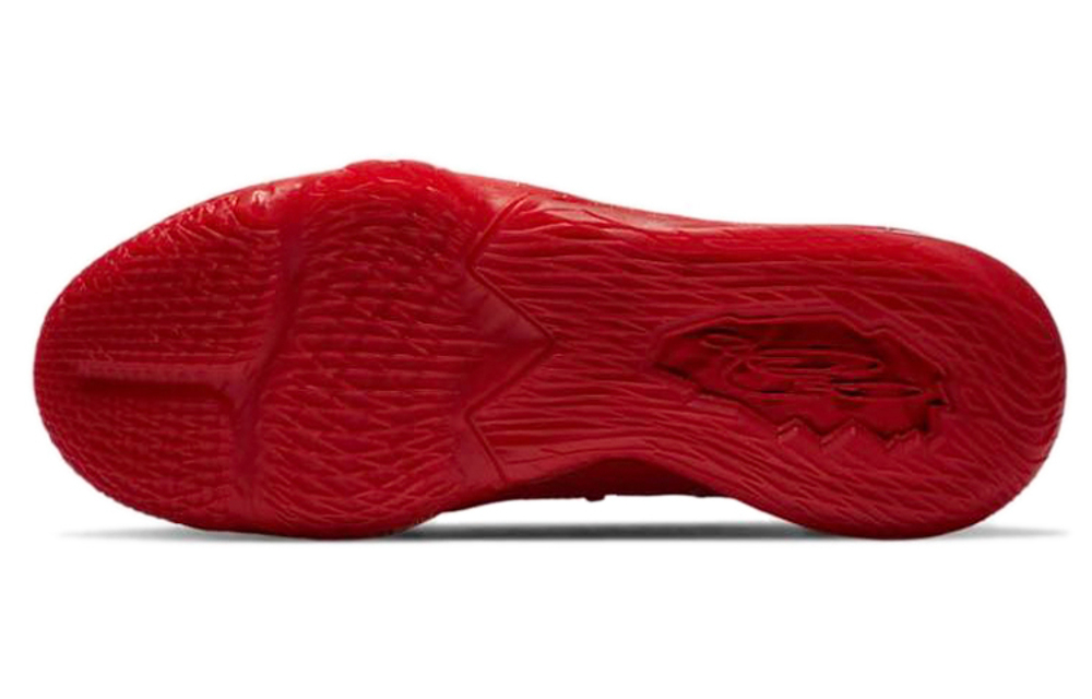 Кроссовки Nike Lebron 17 Low Ph Ep