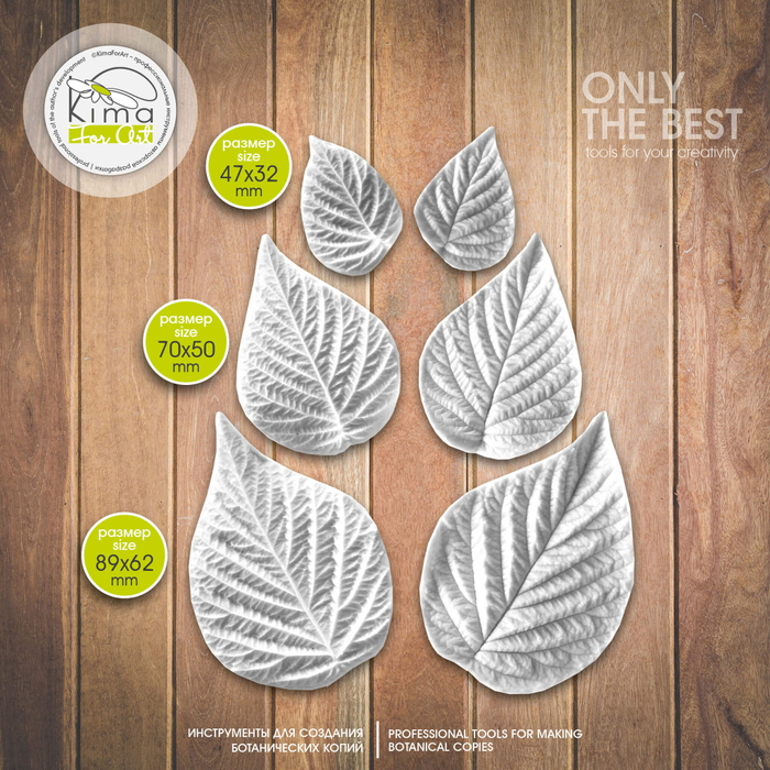 Малина | ежевика листья набор