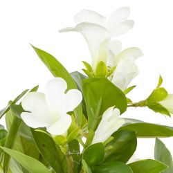 GAEM Цветочная композиция, L W H24 см