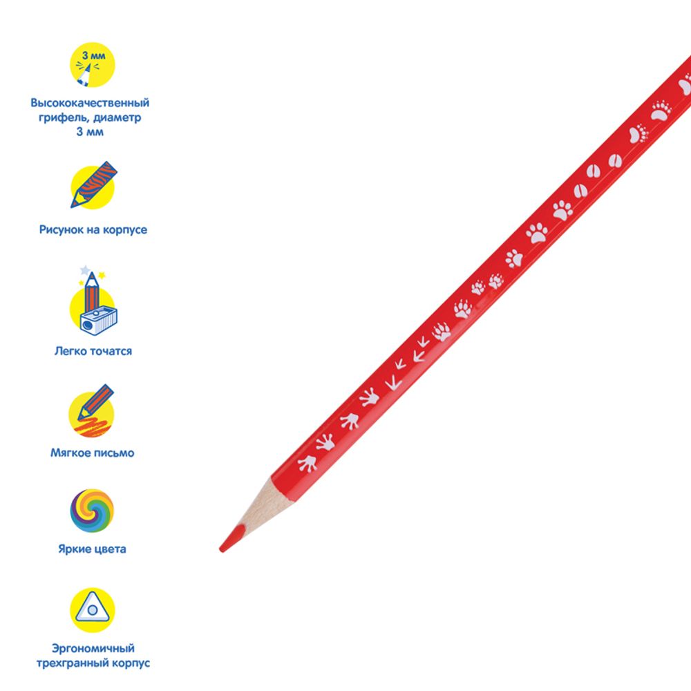 Карандаши цветные Мульти-Пульти "Енот-следопыт", 24цв., трехгр.,рисунок на корпусе, заточен., картон