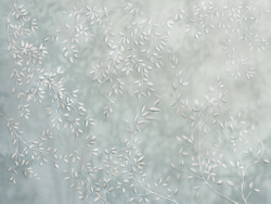 Коллекция BOZZETTO