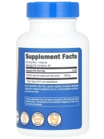 TUDCA 250 мг 60 капсул