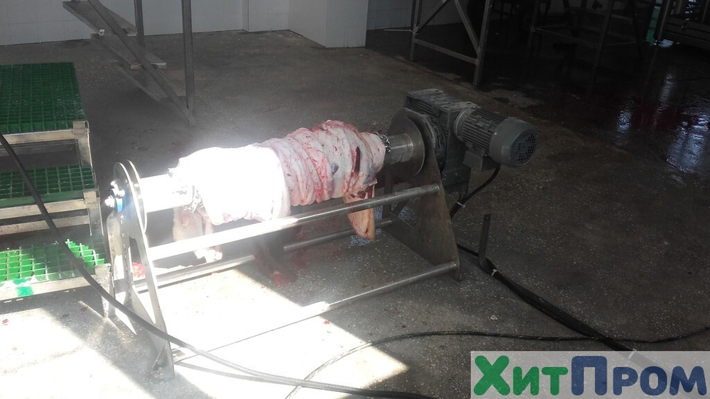Линия ритуального убоя КРС 50 голов/смена. Ставропольский край