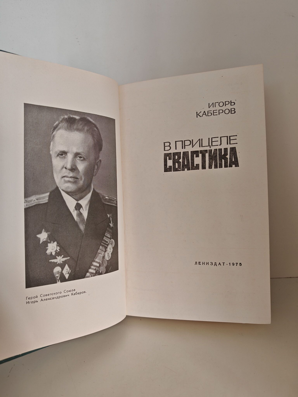 В прицеле свастика