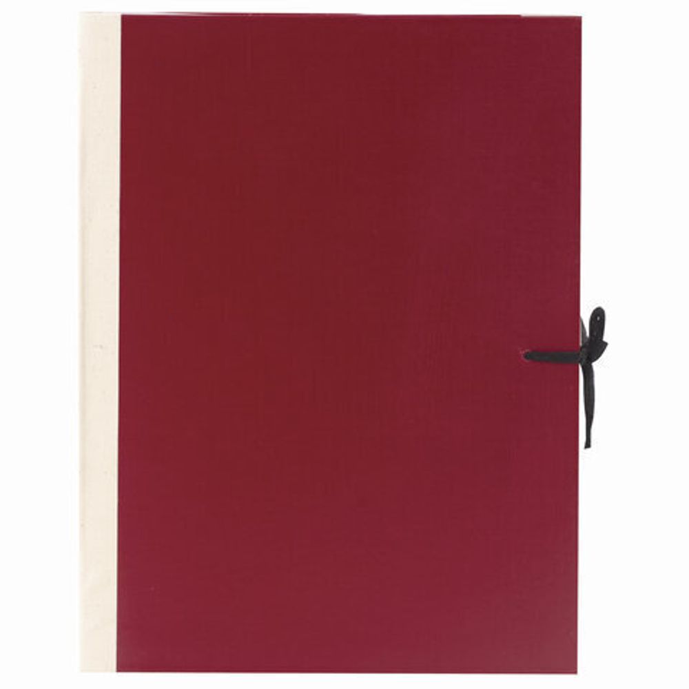 Папка для бумаг архивная А4 (225х310 мм), 120 мм, 4 завязки, бумвинил, корешок - коленкор, 123201