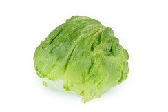 ЭВИОНАС Knox семена салата айсберга ( Rijk Zwaan / РАЙК ЦВААН )