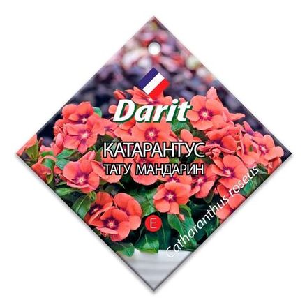 Катарантус Тату Мандарин, семена Дарит 7шт (500)