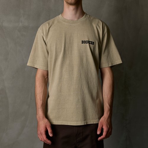 Футболка мужская Dickies Darrtown Short Sleeve Tee 
