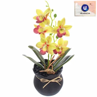 Цветочная композиция «Орхидея» 10*28см салатовая в пластиковом горшке