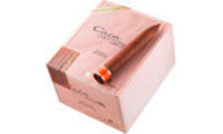 Cain Daytona Torpedo