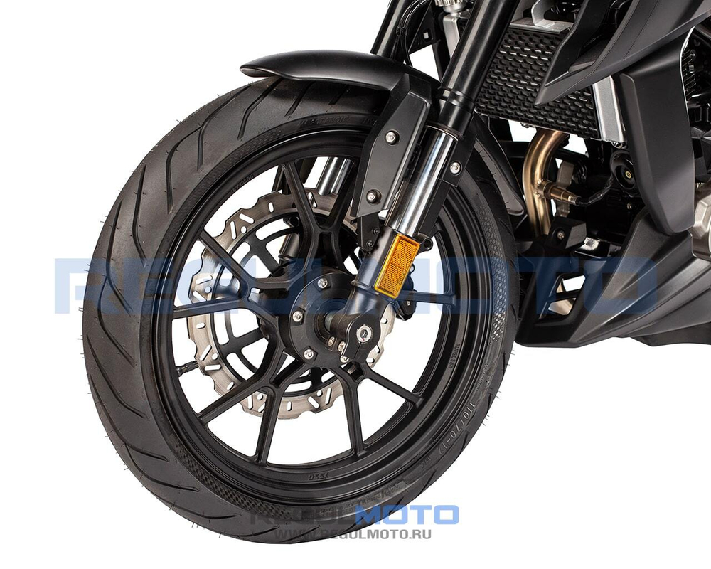 Мотоцикл Regulmoto ALIEN MONSTER 300