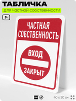 Табличка для частной территории "Частная собственность, вход закрыт", на дом, для участка, организаций, предупреждающая, 40х30 см, Silver Plane x Айдентика Технолоджи