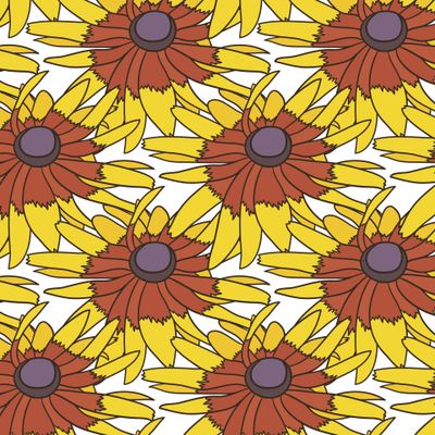 Солнечные цветы лета