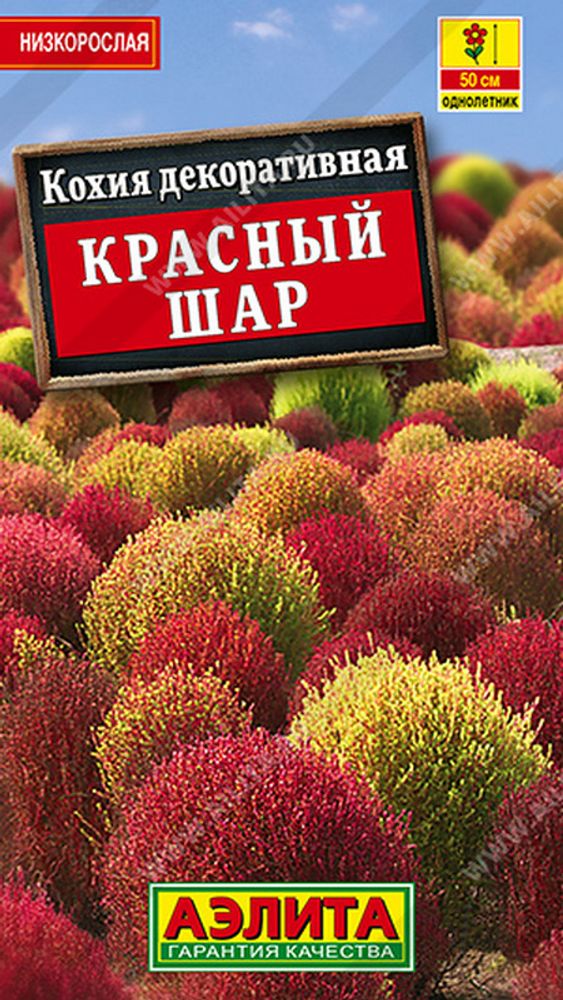 Кохия &quot;СТ. Красный шар&quot; 0,1г., Россия.
