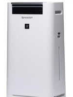 Климатический комплекс Sharp KC-G41RW/RH