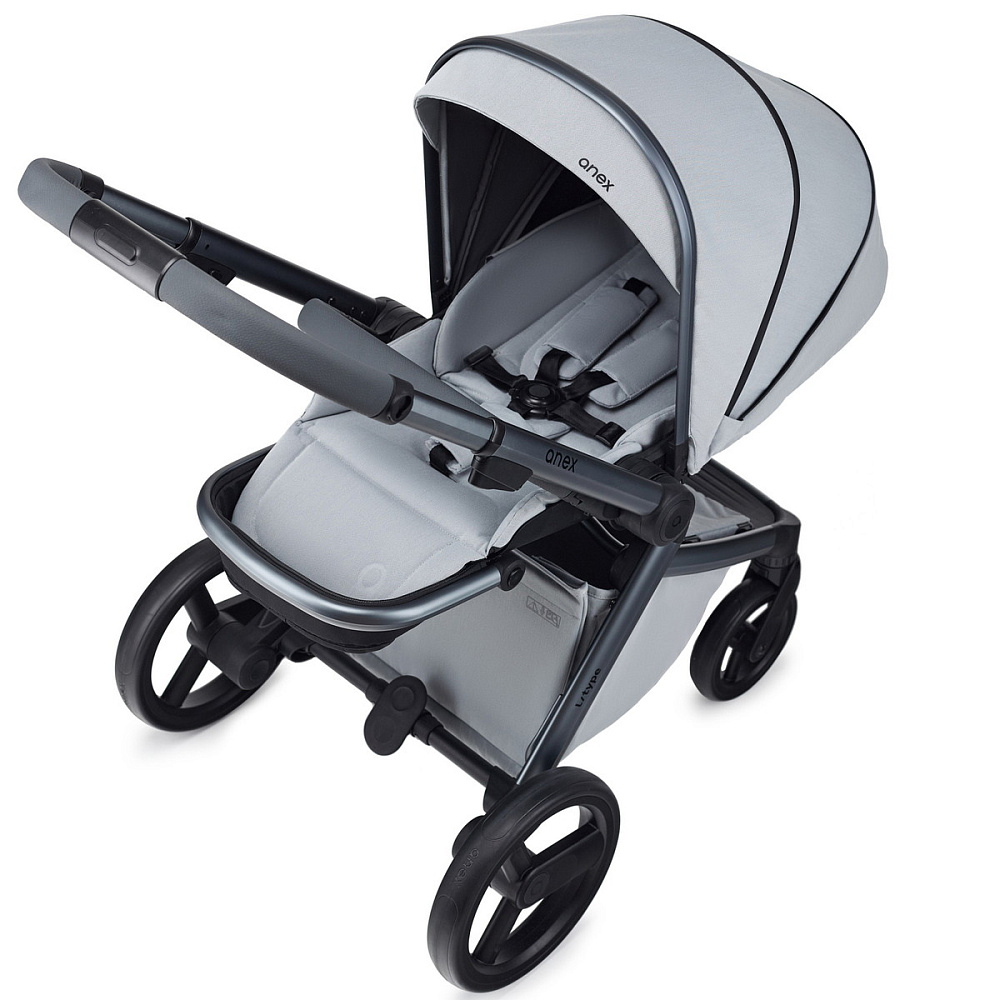 Детская коляска Anex l/type 2 в 1 с аксессуарами frost