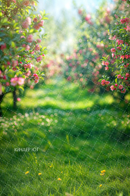 Фотофон "Сад в цвету" арт. ФФ903-23