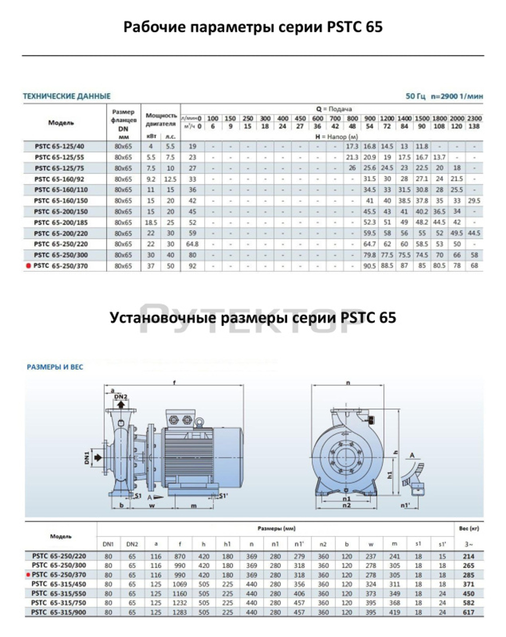 Консольно-моноблочный фланцевый насос PURITY PSTC 65-250-370 (N)
