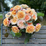 🍀 На восходе солнца — чайного цвета розы в полном великолепии