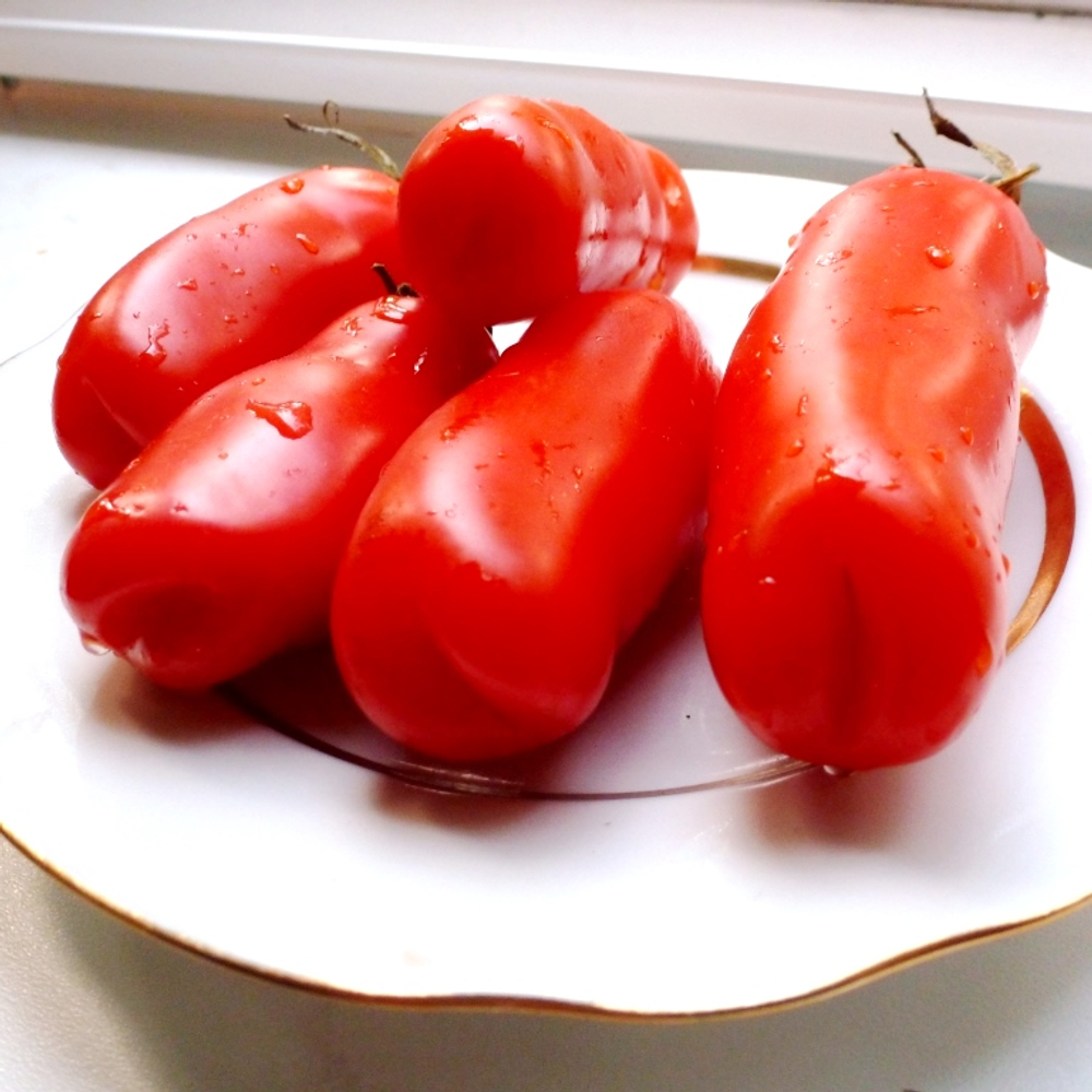 Помидоры - Аурия (Мужские)