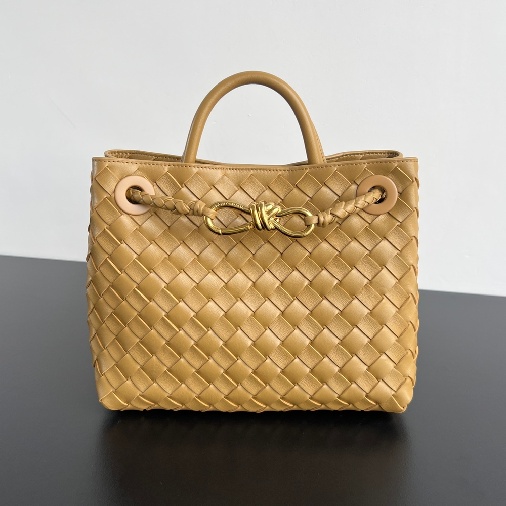 Bottega Veneta Small Andiamo 25 cm