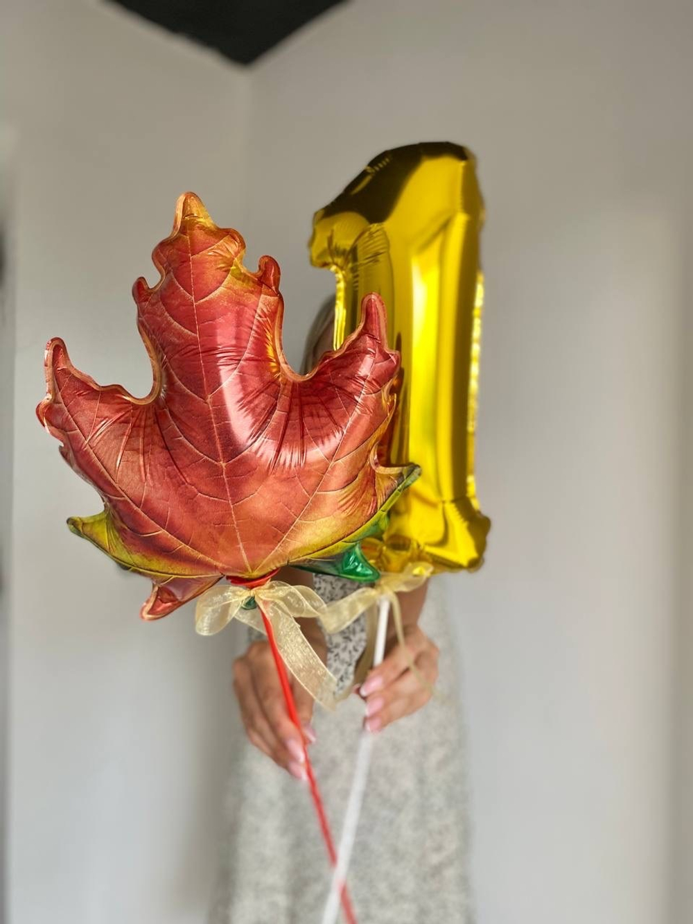 Воздушные шары на 1 сентября №1134