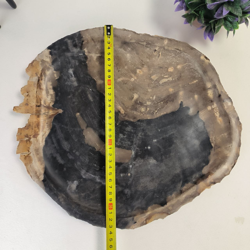 Набор из окаменелого дерева 4 предм Fossil Set NF-63063 поднос 33см*38см