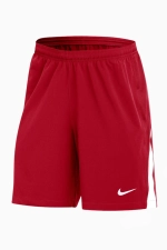 Шорты Nike Dri-FIT Venom 4