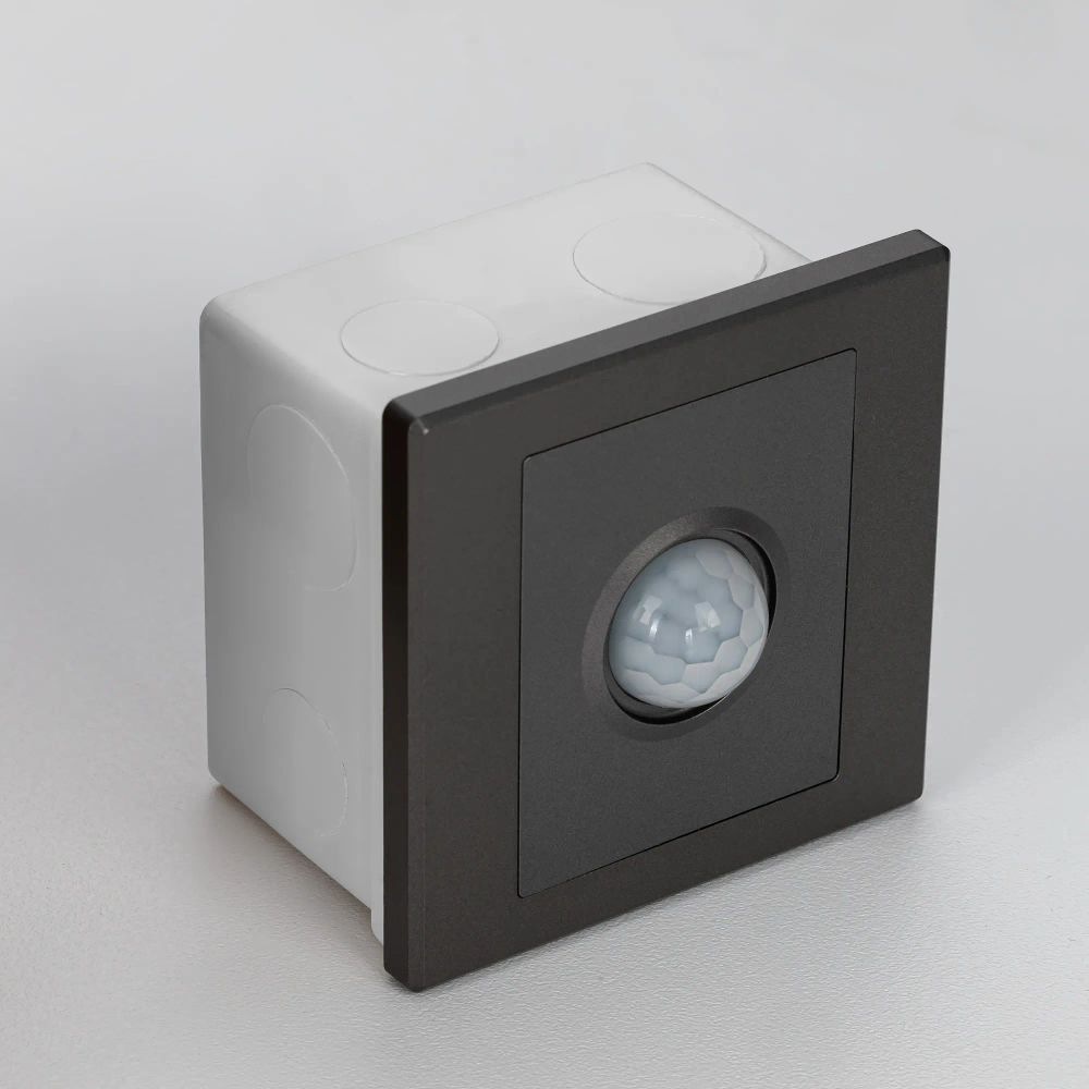 Citilux Скалли CLR005KS1 Встраиваемое реле с датчиком движения Графит