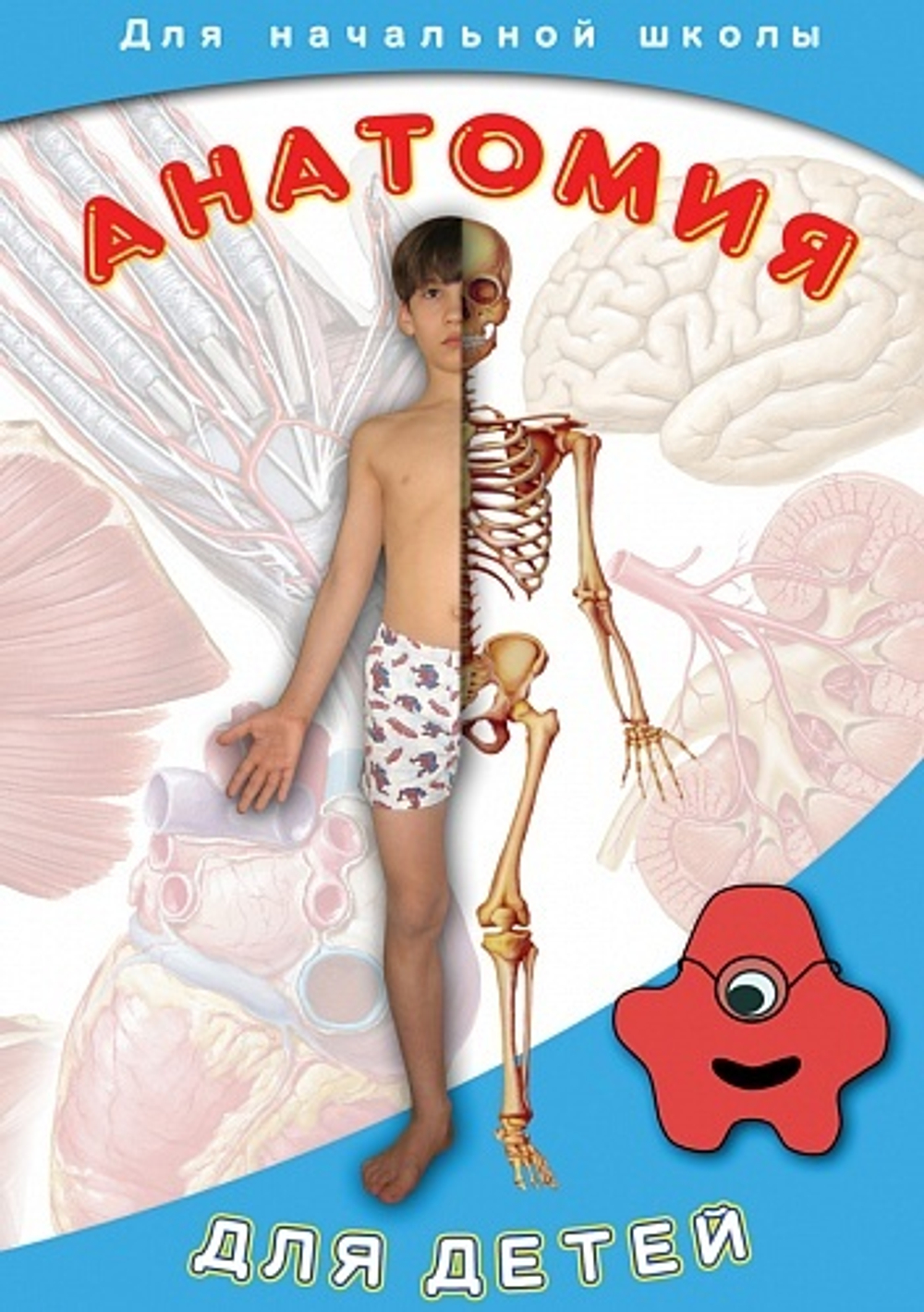 Анатомия для детей