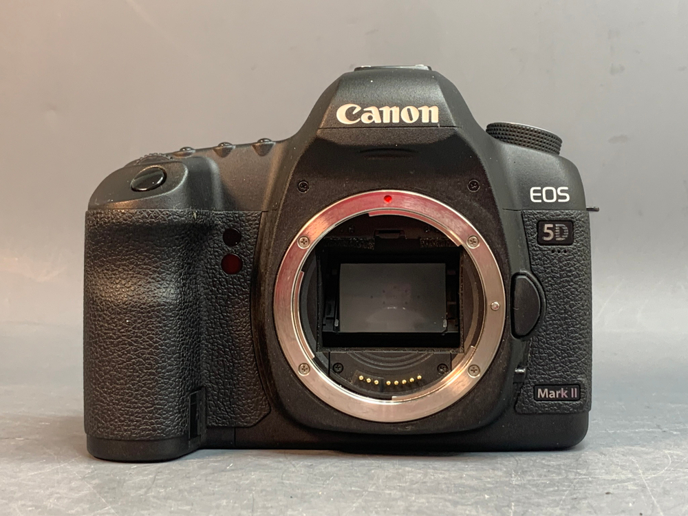 Canon EOS 5D Mark II 214.224 Кадров