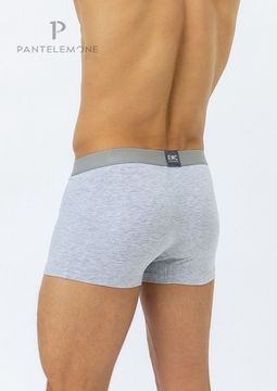 Трусы мужские боксеры Pantelemone PMH-343,серые