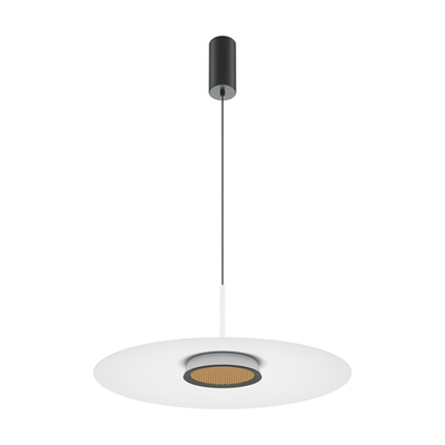 Подвесной светильник Maytoni MOD041PL-L15W3K1